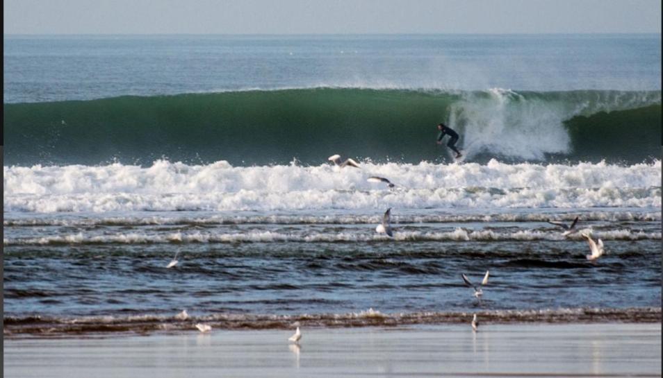 Maison Moderne Proche Lac Et Plage Léon エクステリア 写真